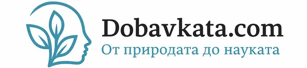 ДОБАВКАТА